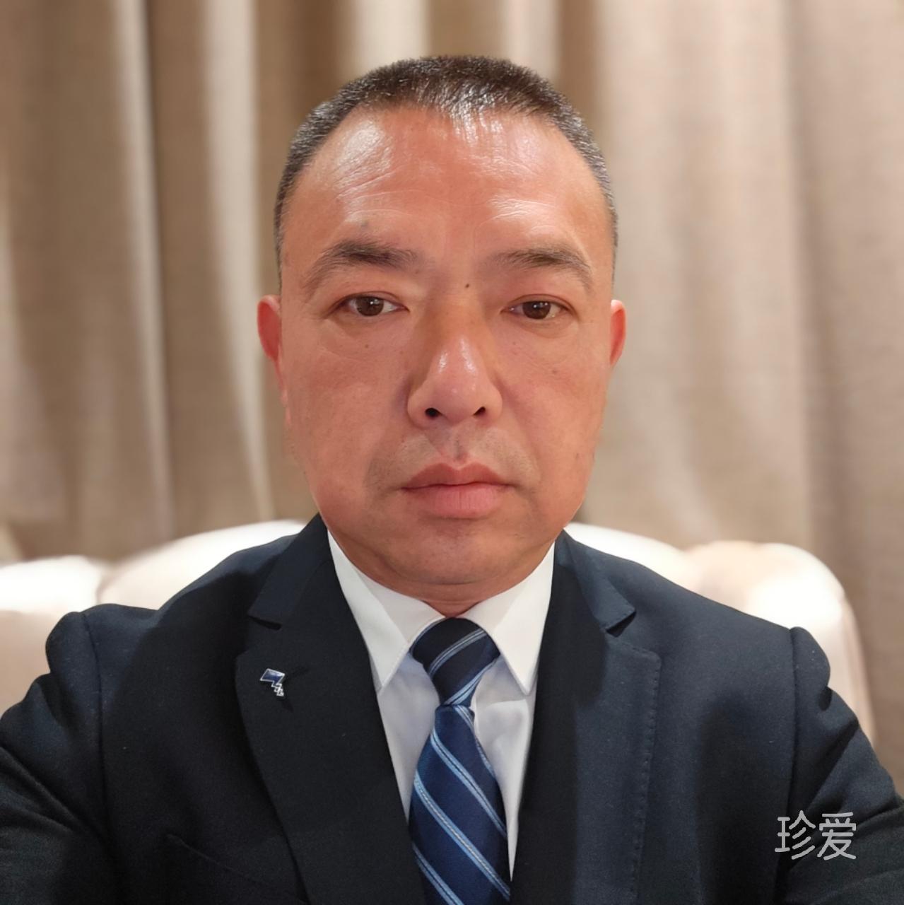 春光灿烂猪八戒