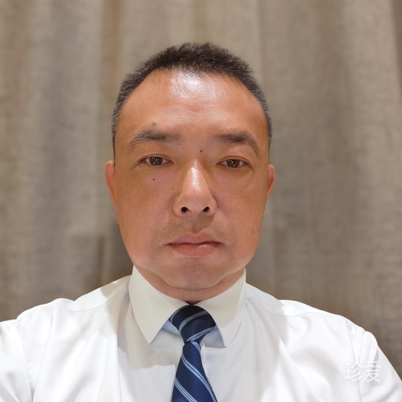 春光灿烂猪八戒