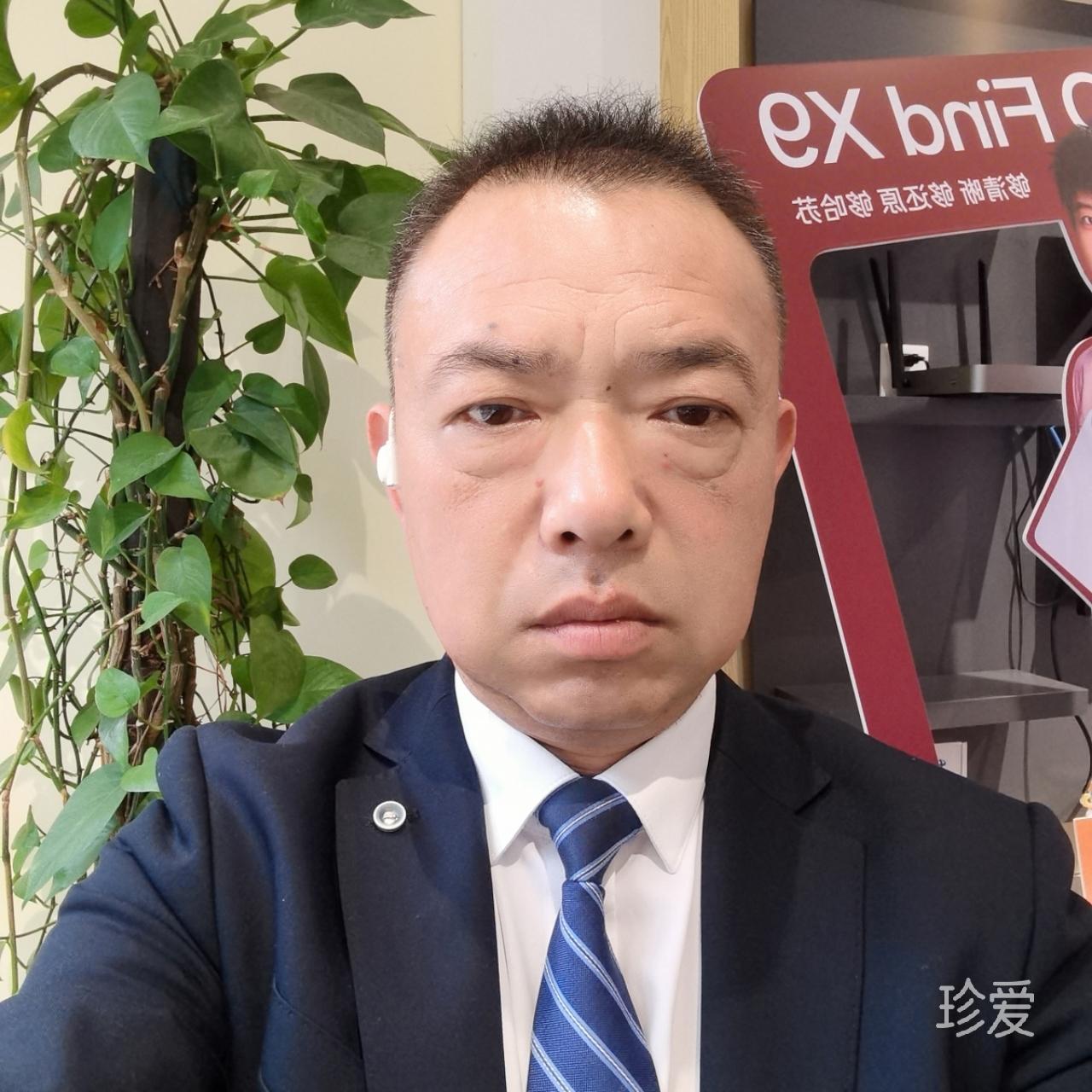 春光灿烂猪八戒