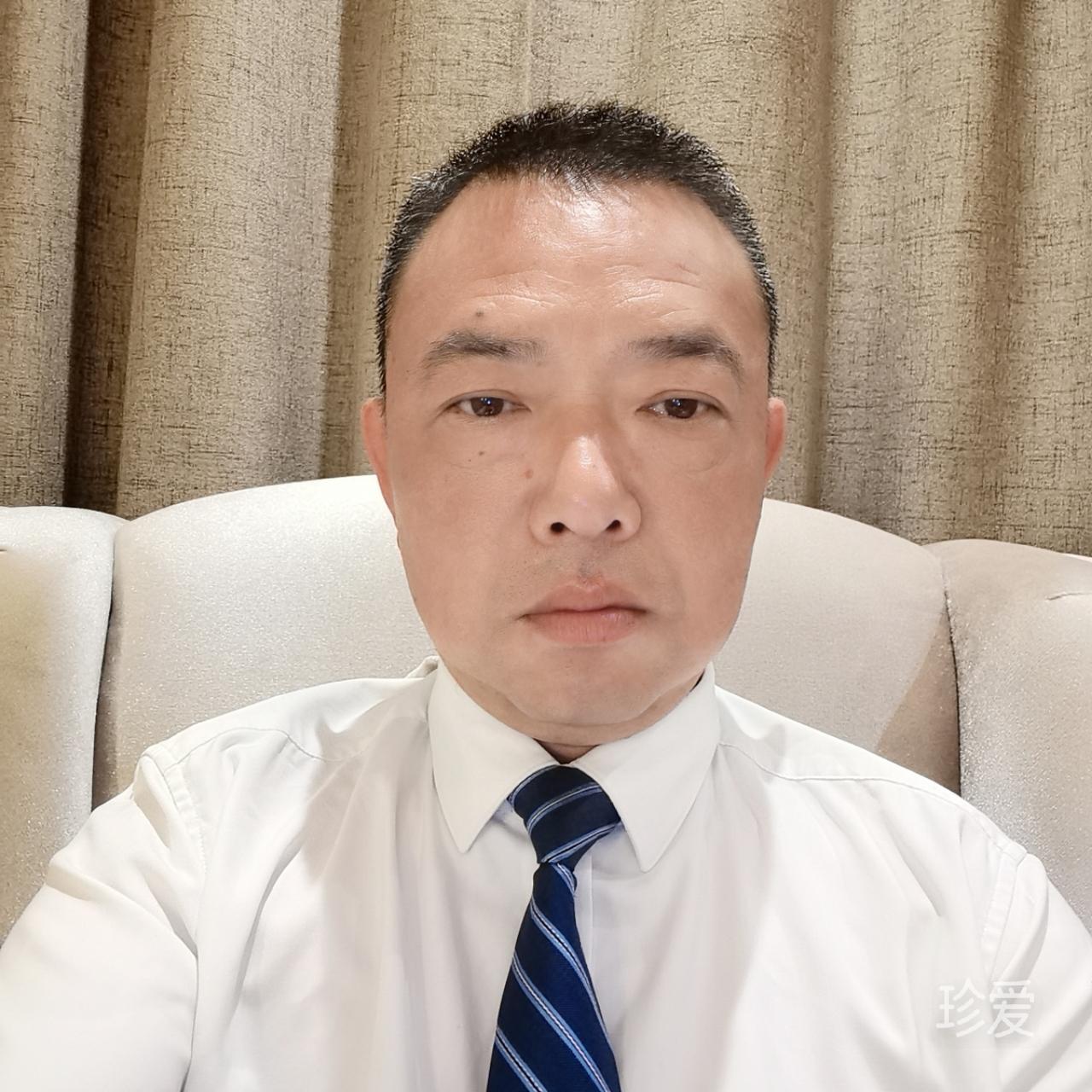 春光灿烂猪八戒