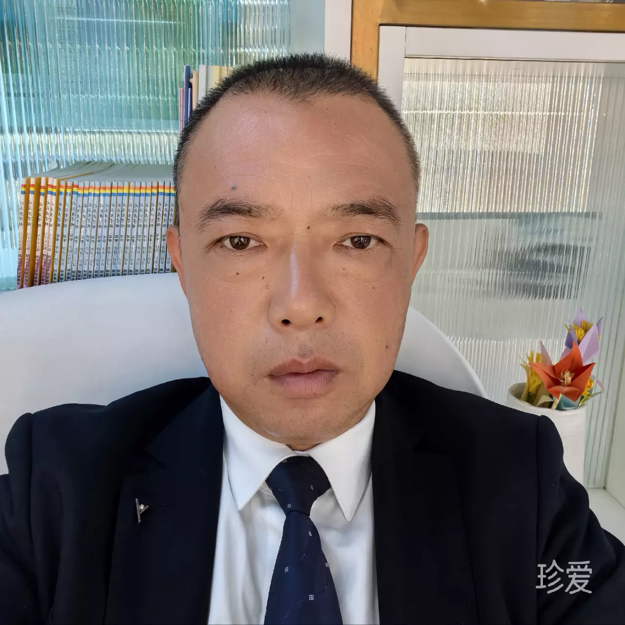 春光灿烂猪八戒