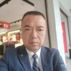 春光燦爛豬八戒