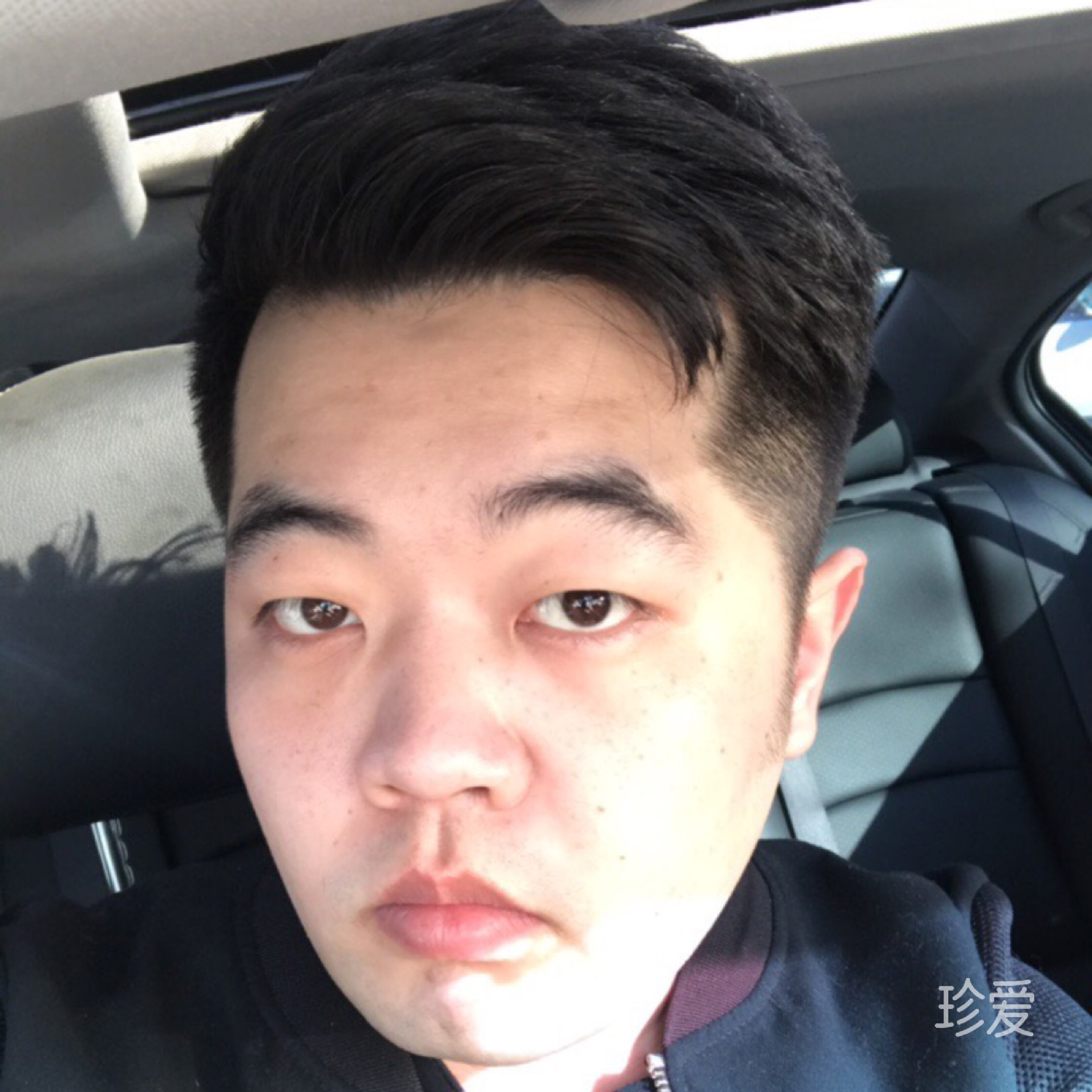 猫的十三月