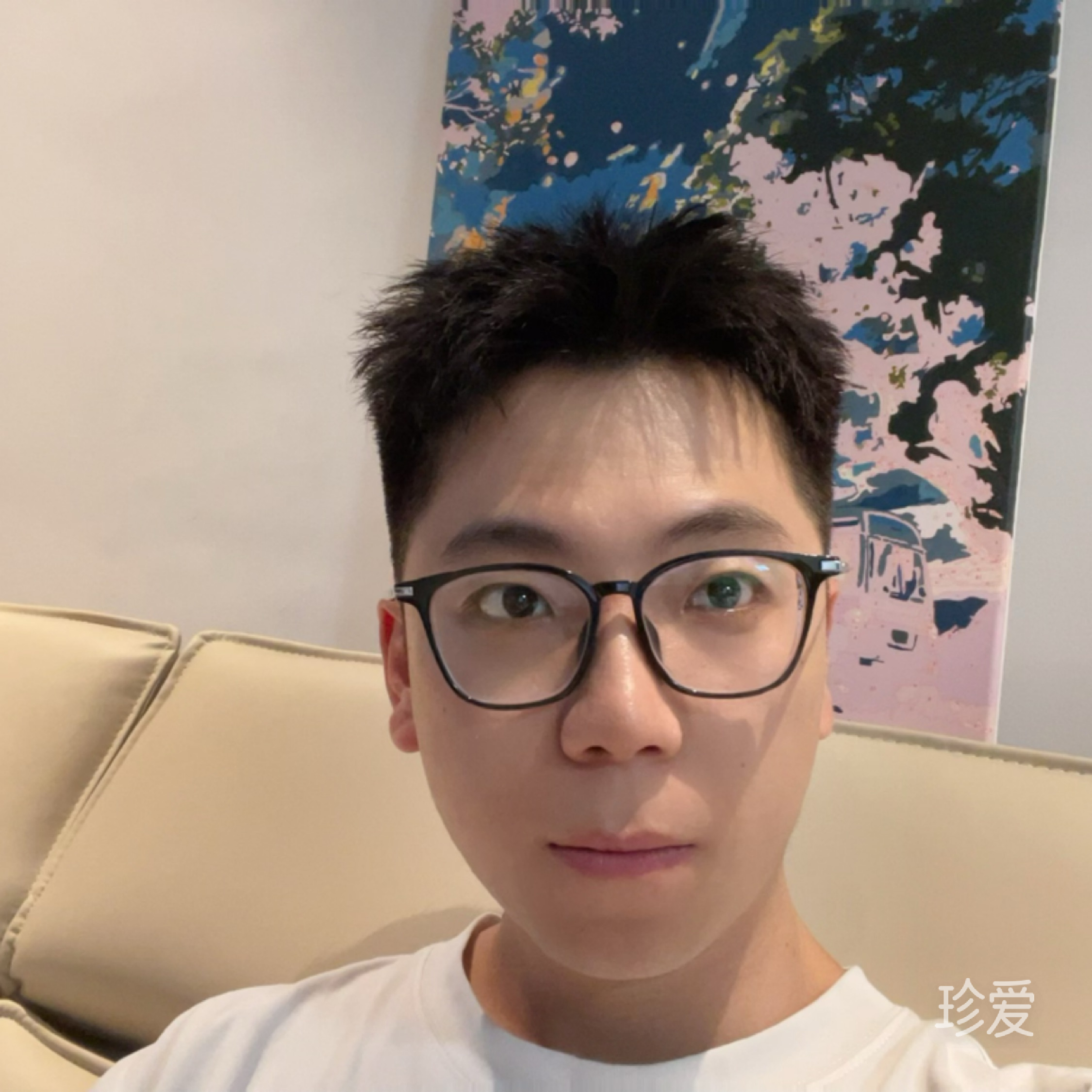 晨晨