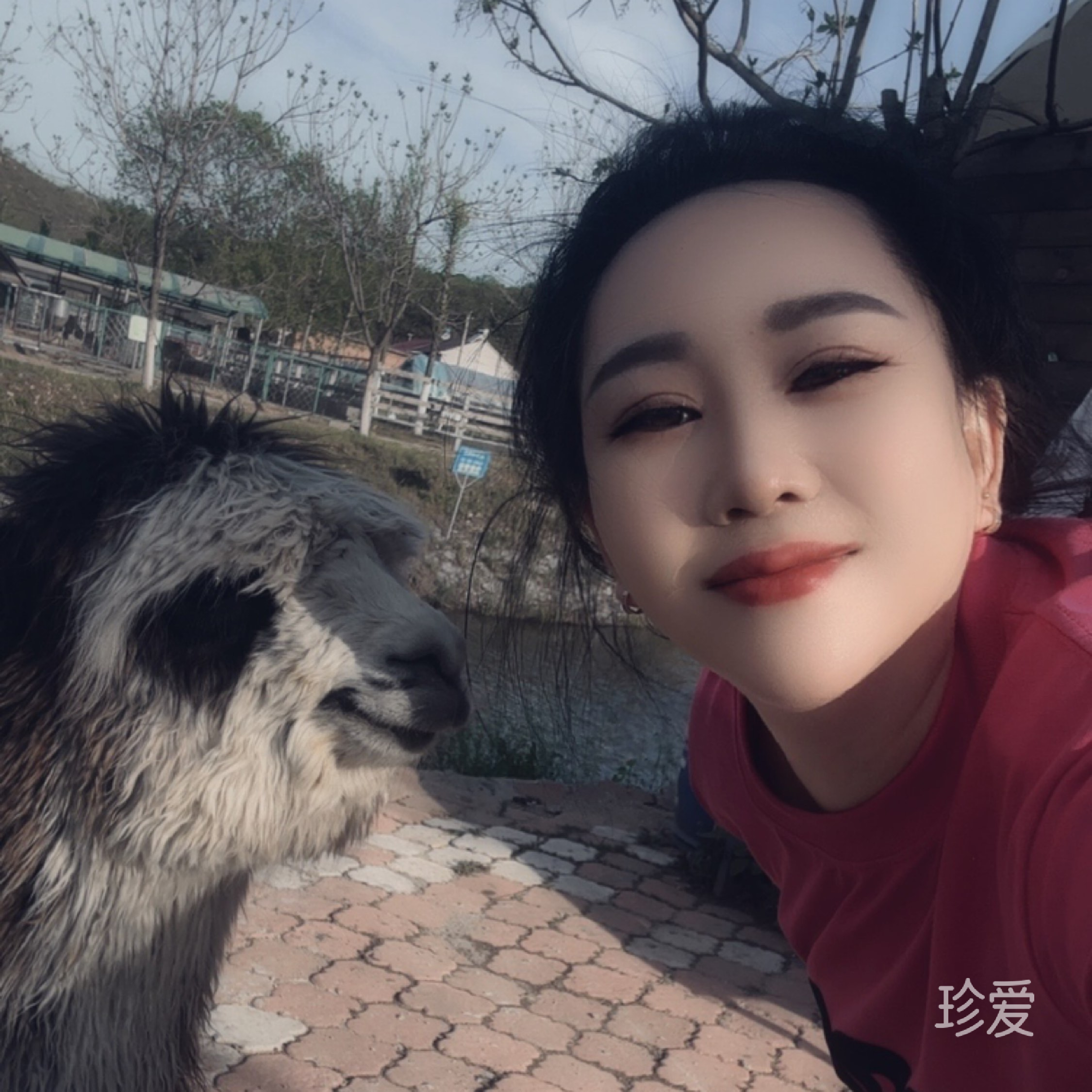 我想有个安稳的家