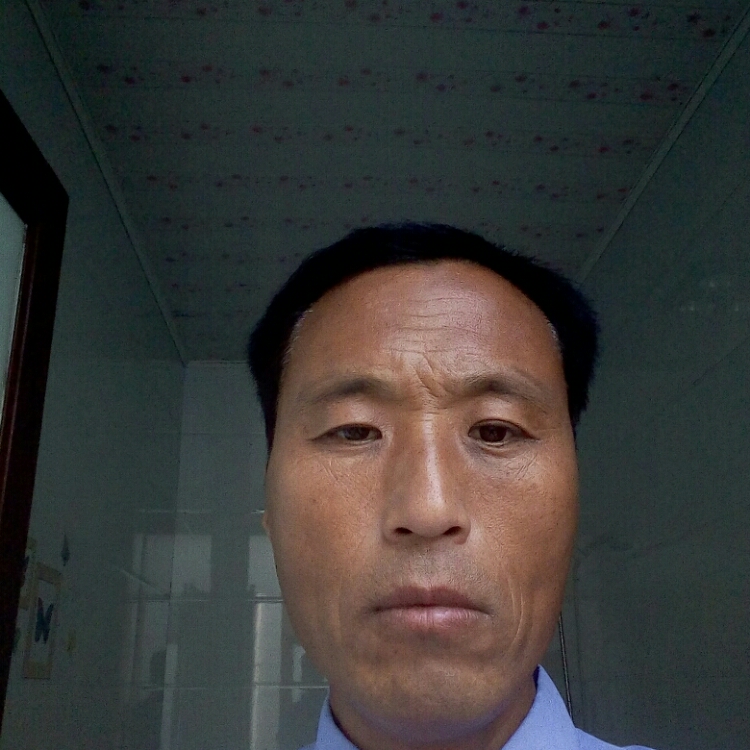 我想再活五百年