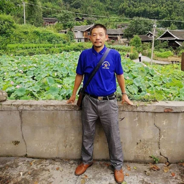 简单的鱼木林森