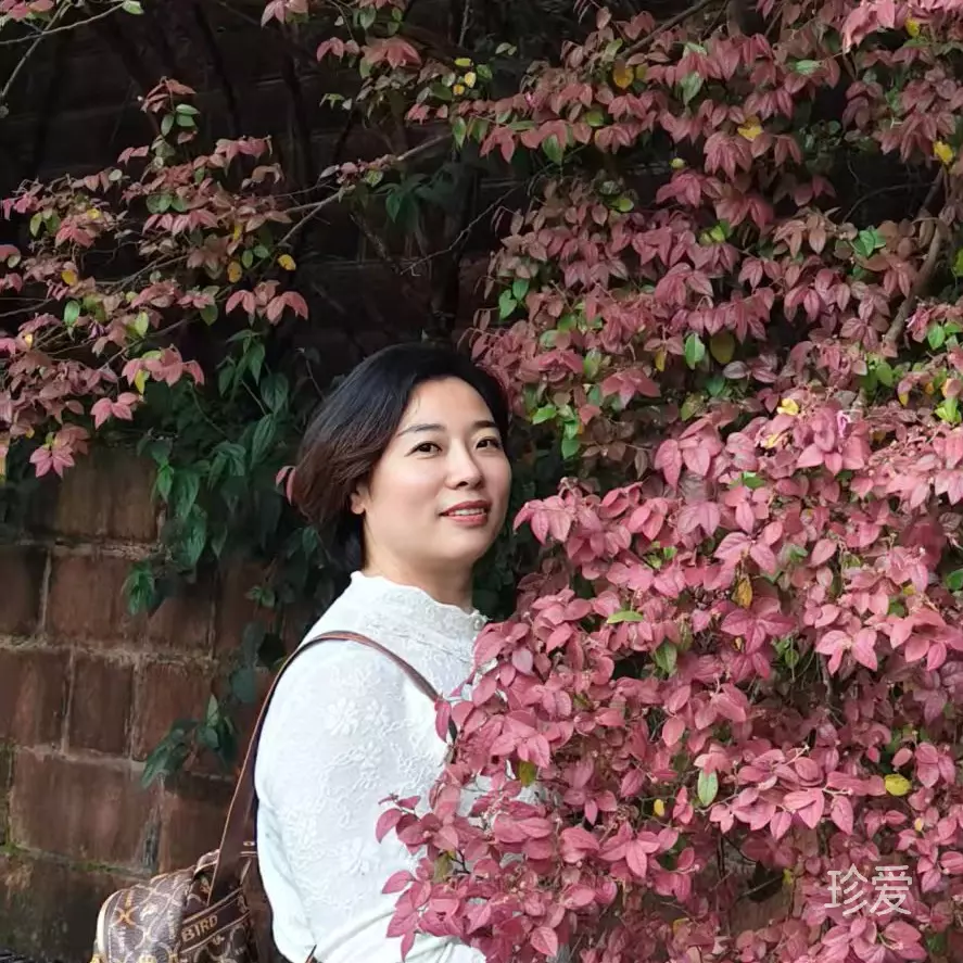 蓝花楹