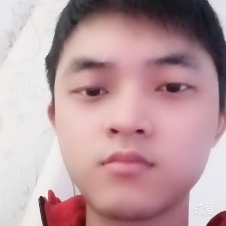 苏昭地_苏照弟