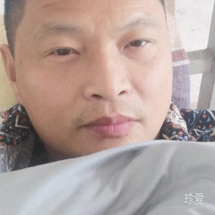 天空飞翔的雄鹰
