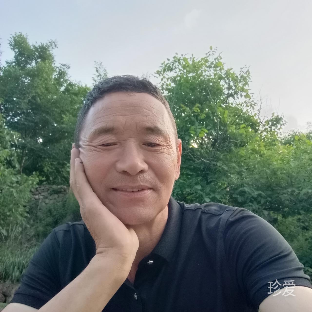 真爱之翼