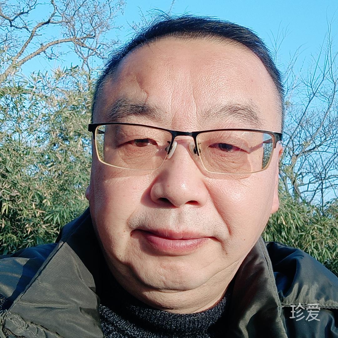 左岸右岸难上岸