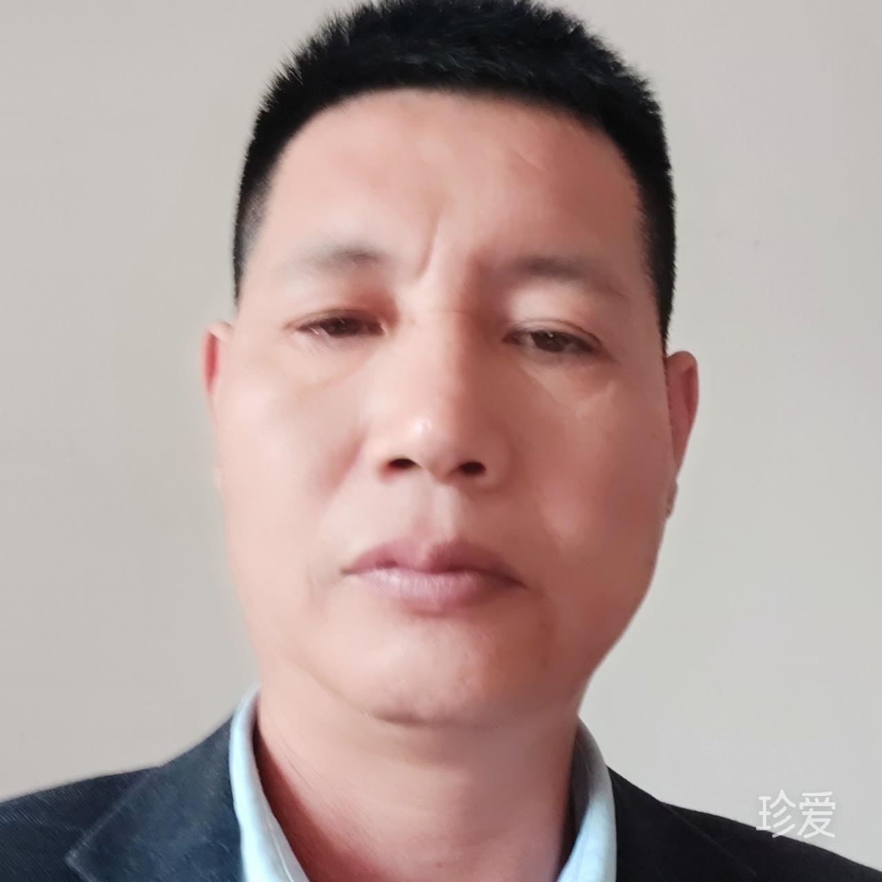 螞蟻漩渦干擾者