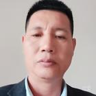 螞蟻漩渦干擾者