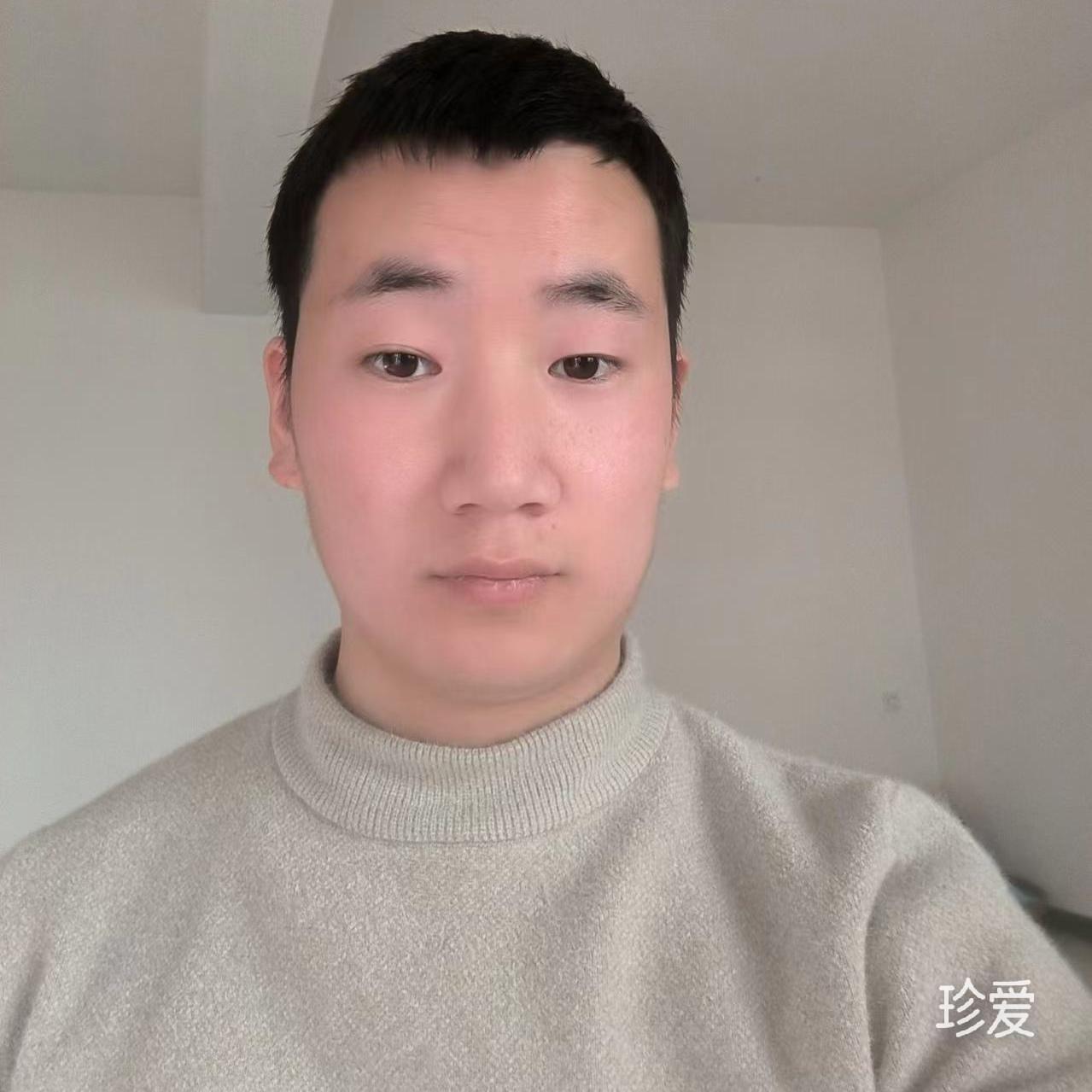 梦想有双翅膀的虎