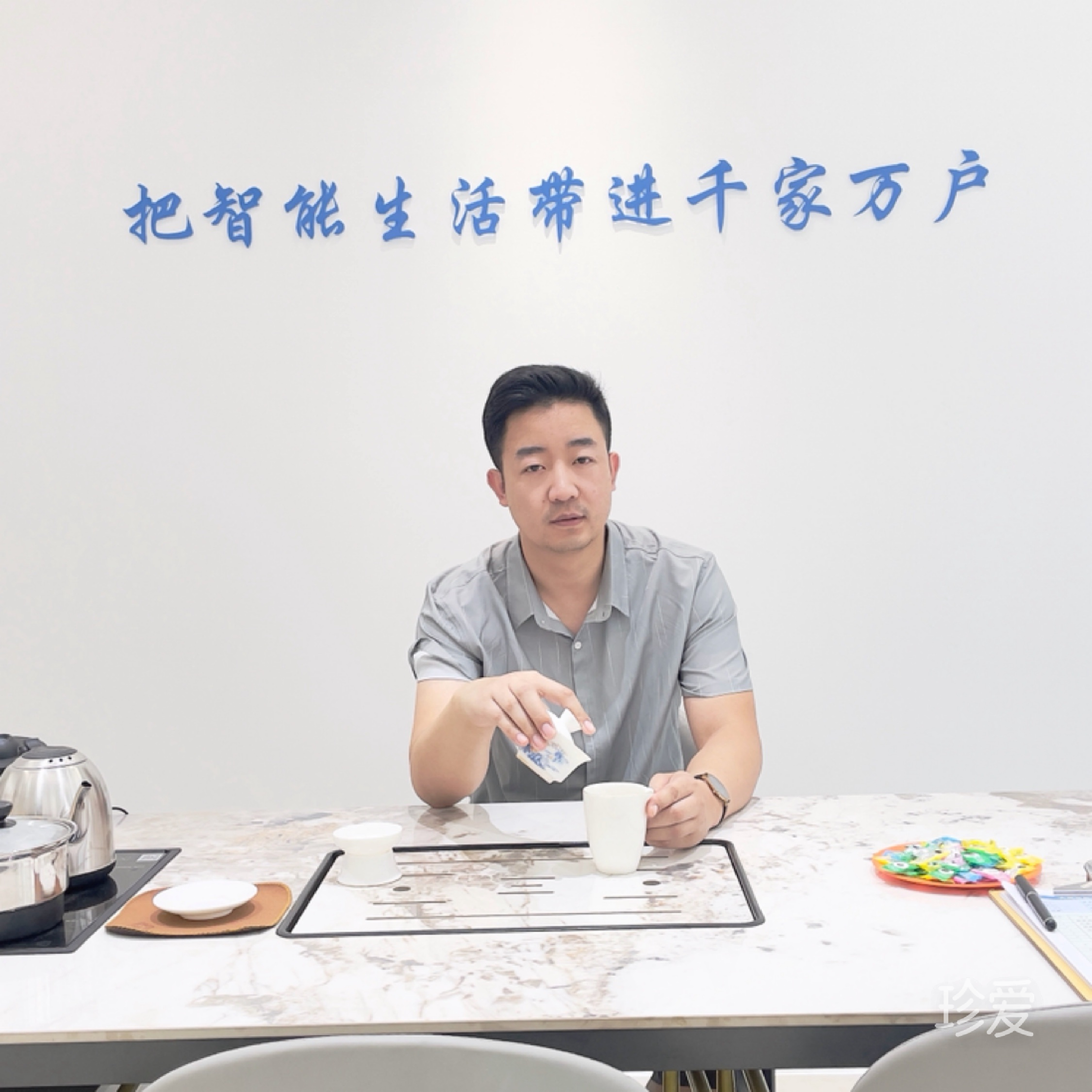 柳智能