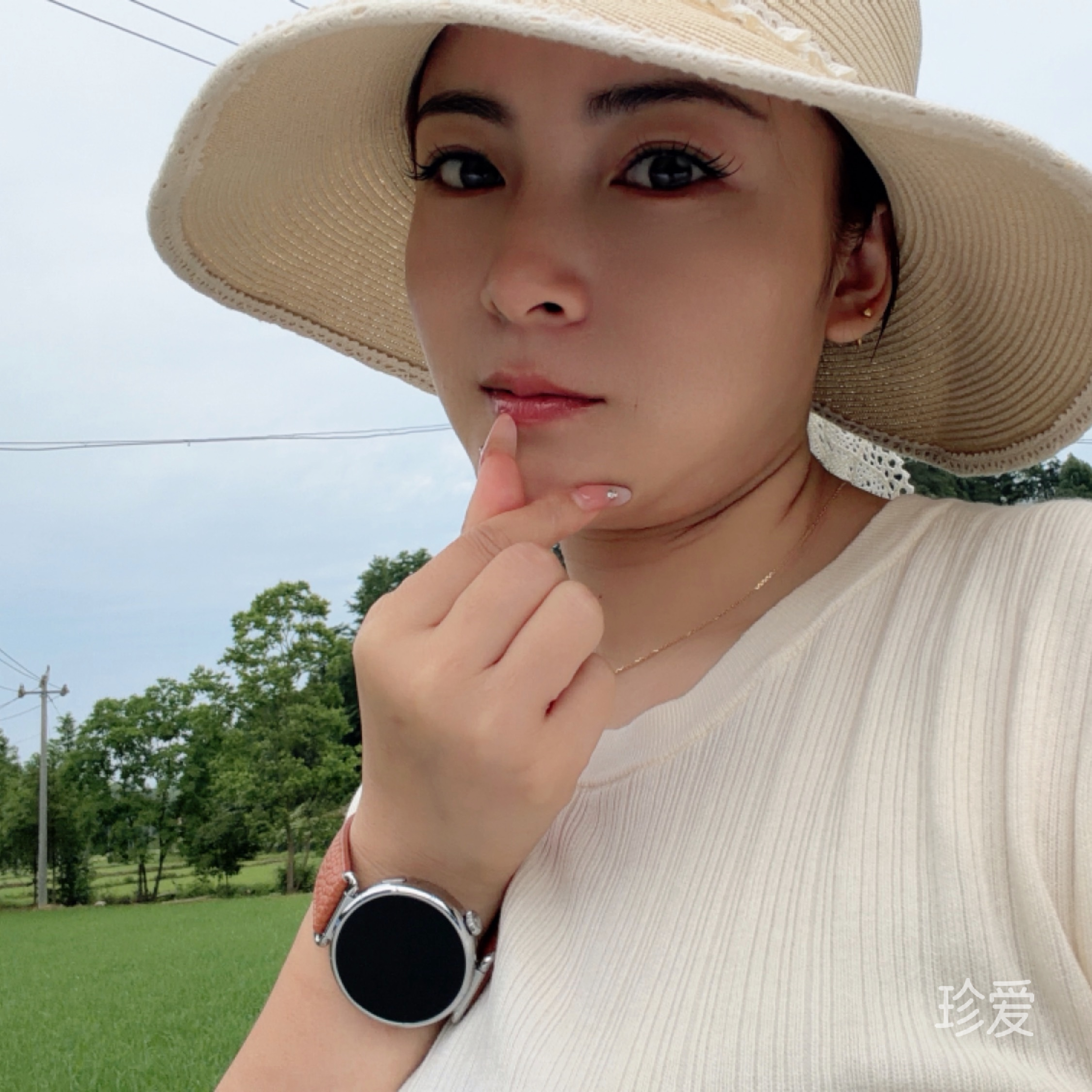 黑色郁金香