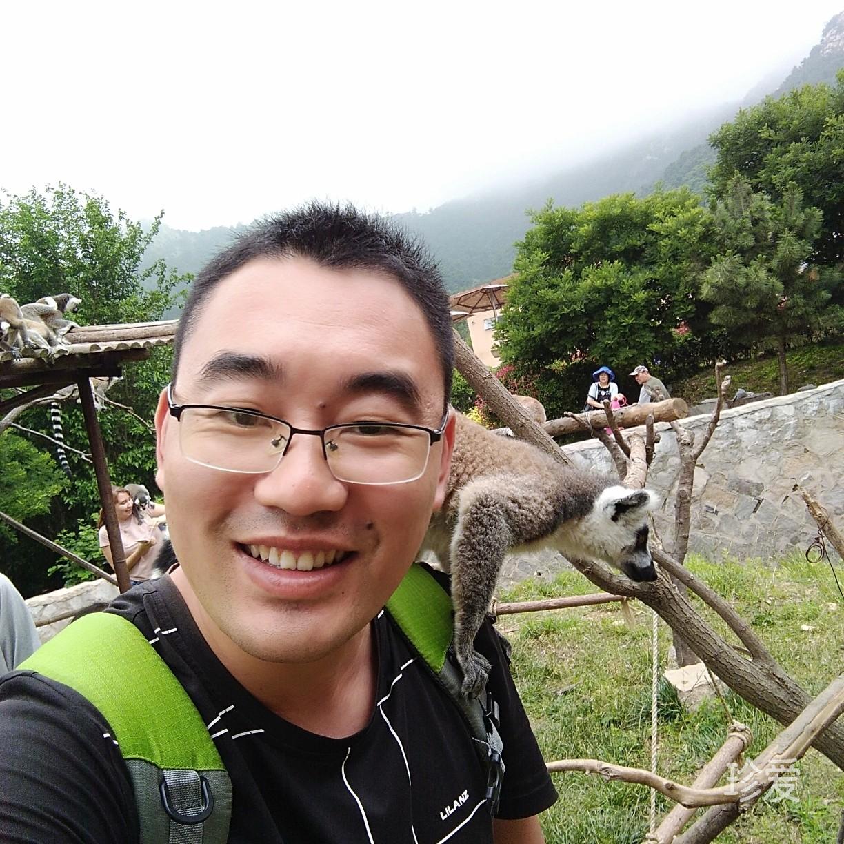 迷雾风中