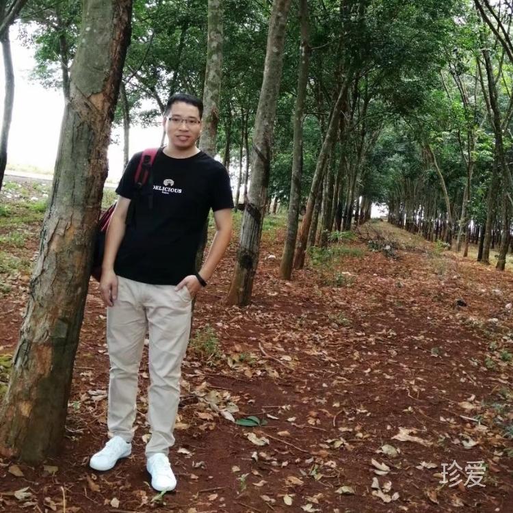 爱在光年外