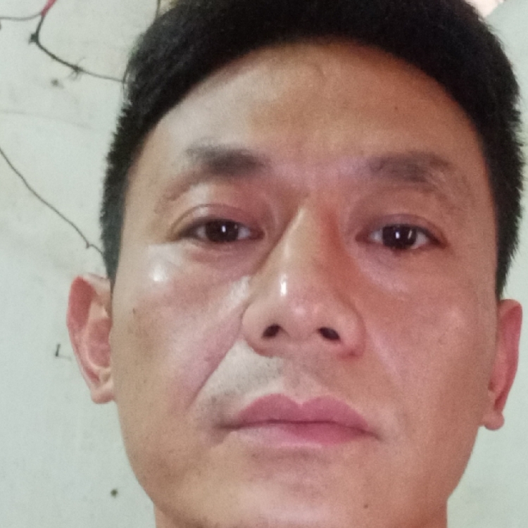 只想好好过日子