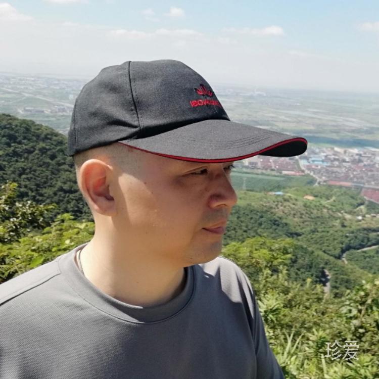 翱翔的鹰