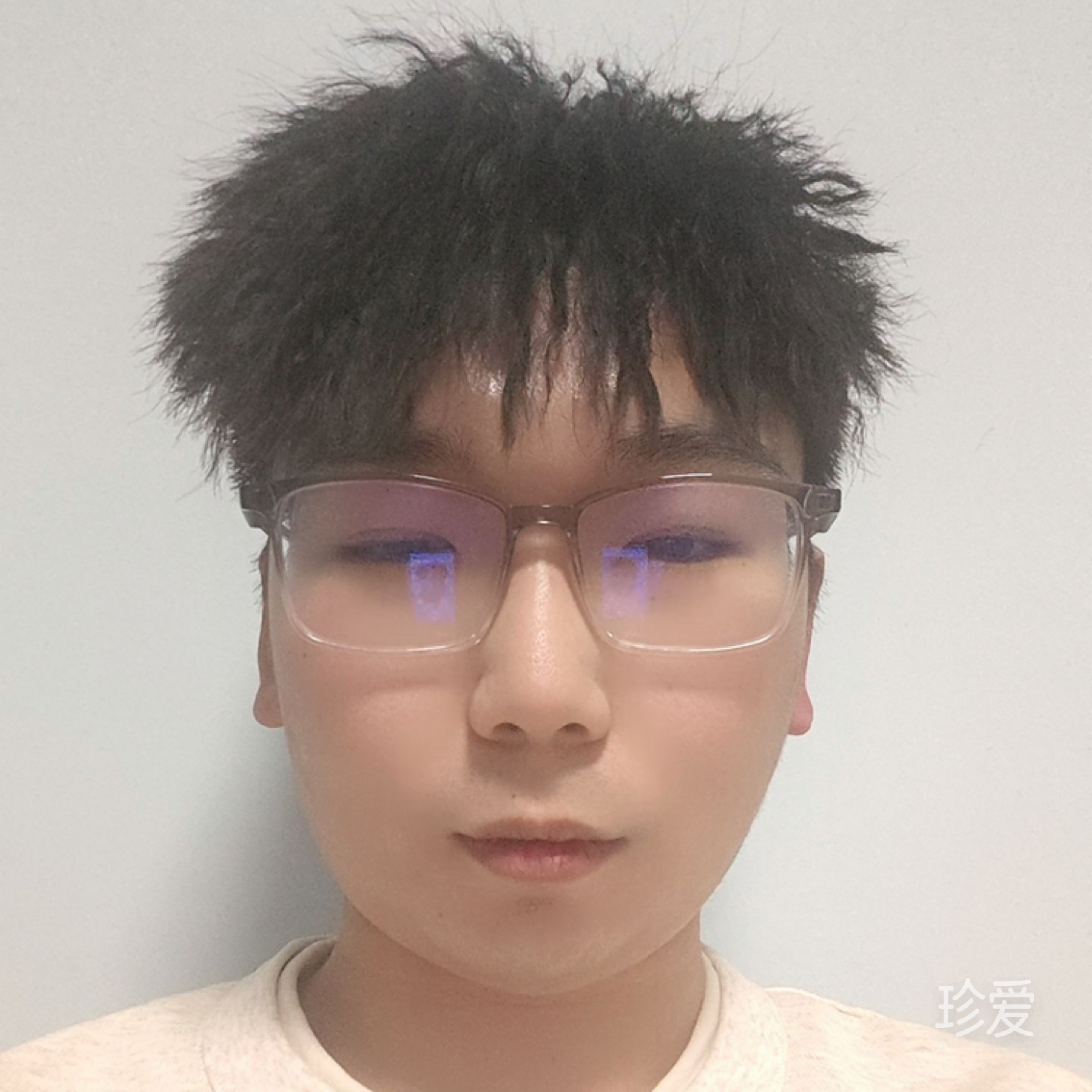 林嘉