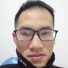 懸崖松