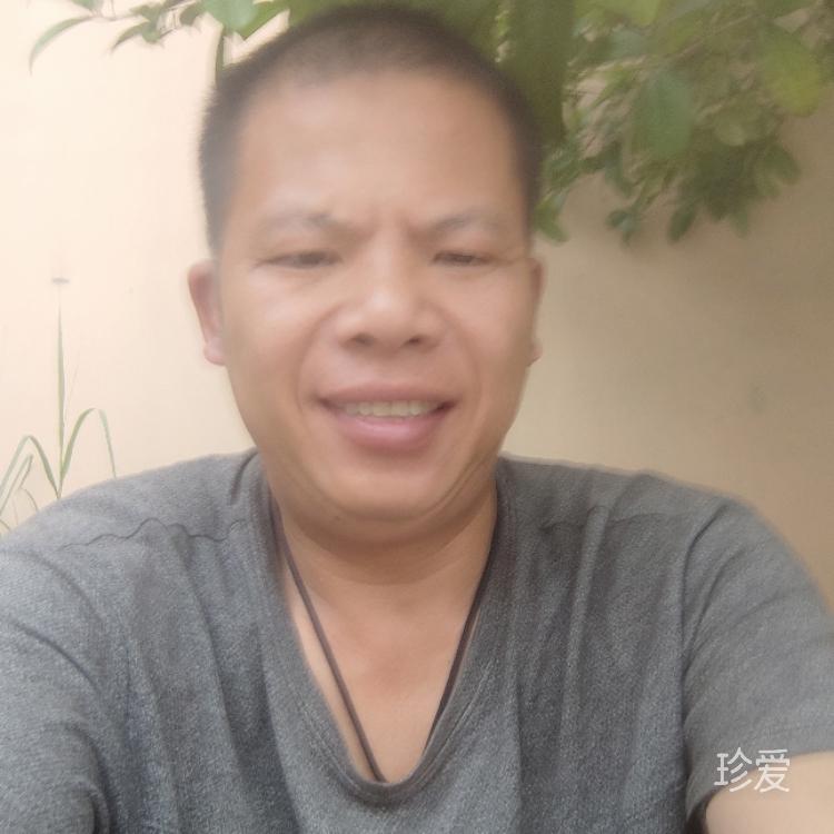 快乐摸鱼