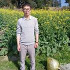 海的愛(ài)太深