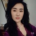 飛雪傲梅