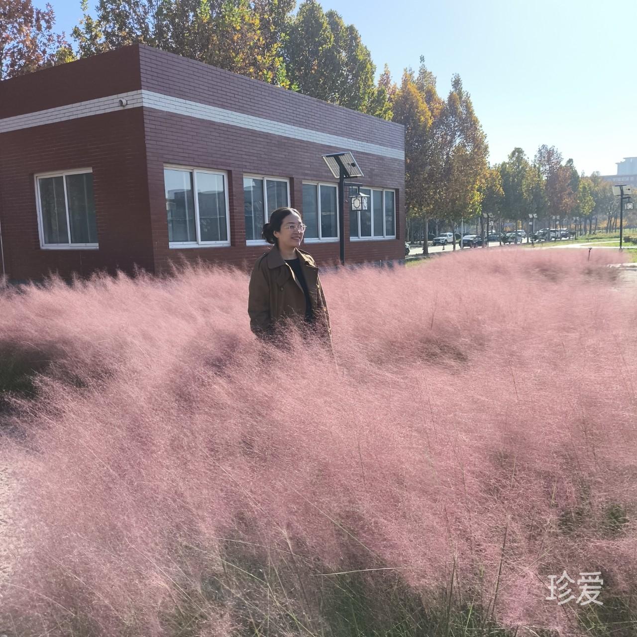 请看清介绍再聊天
