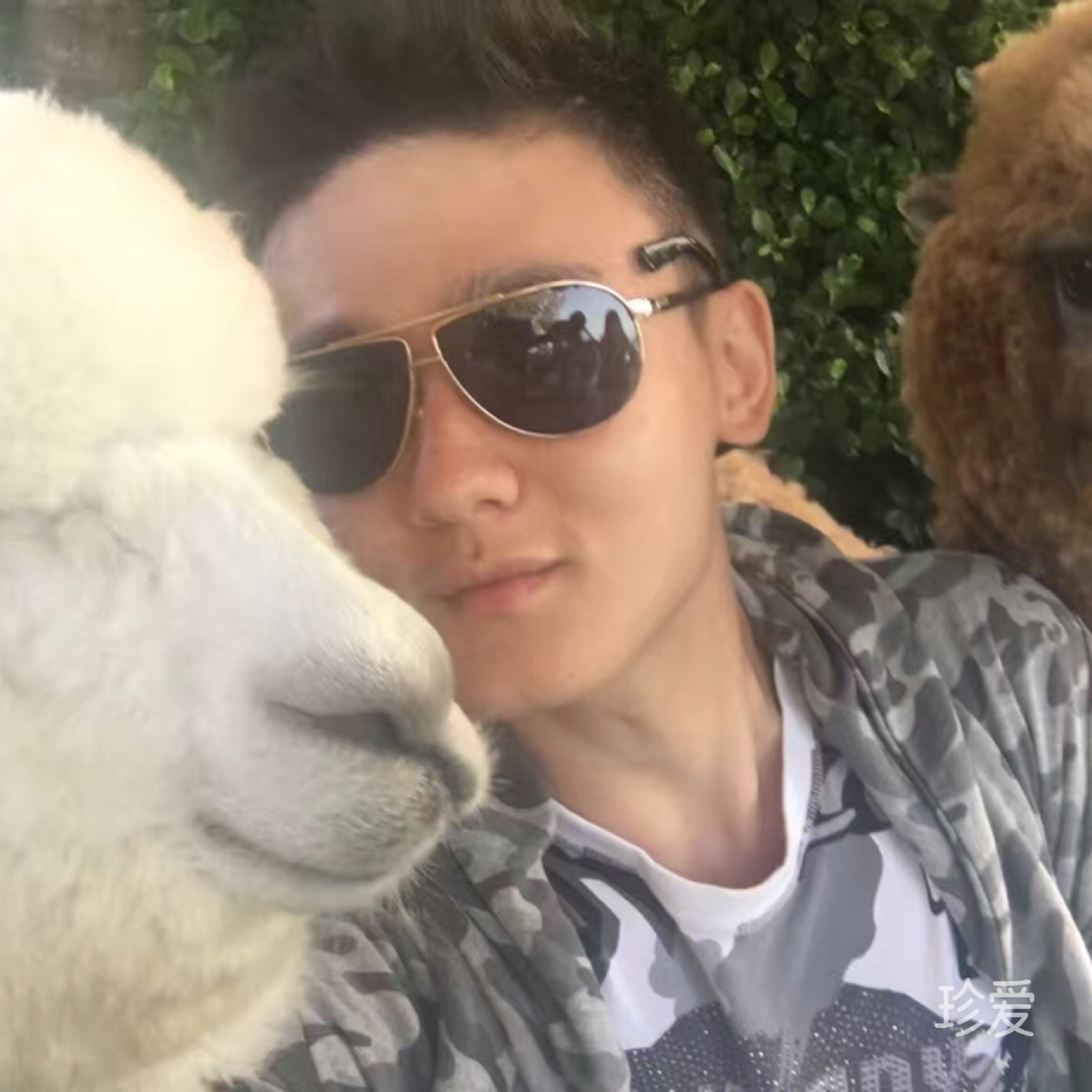 低调做人高调做事