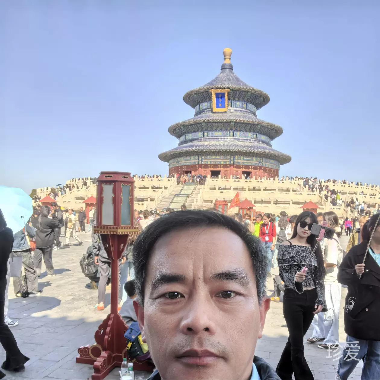 黄鸟于飞
