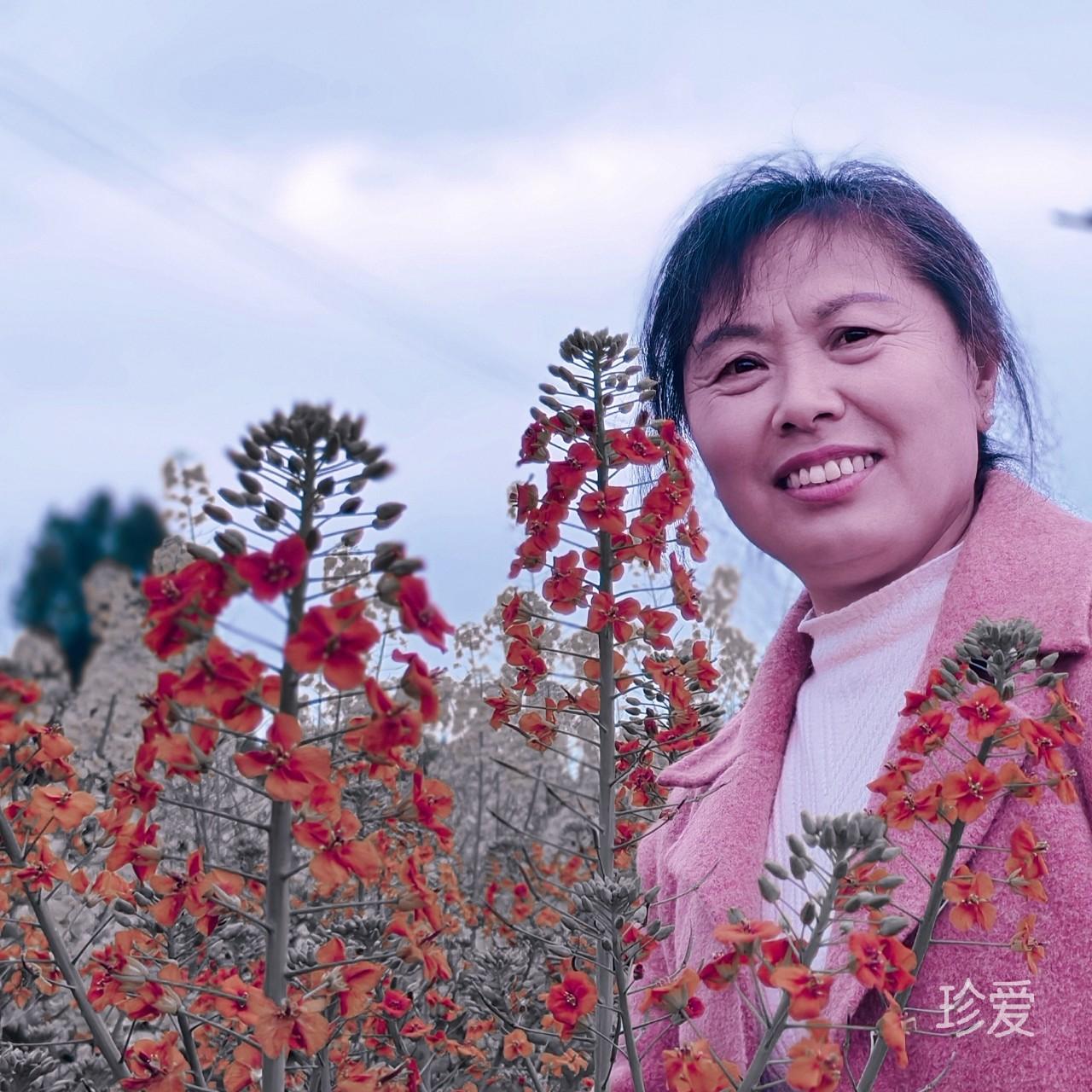 秋水芙蓉