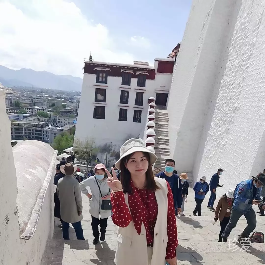 桐桐