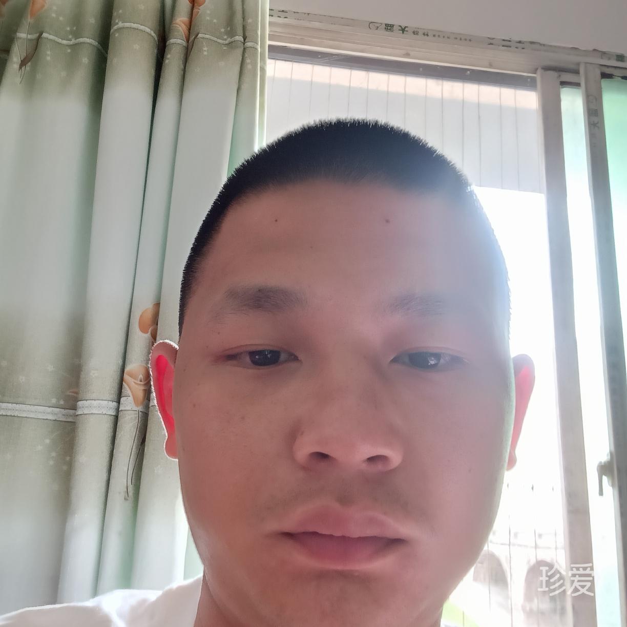 姬金鱼草