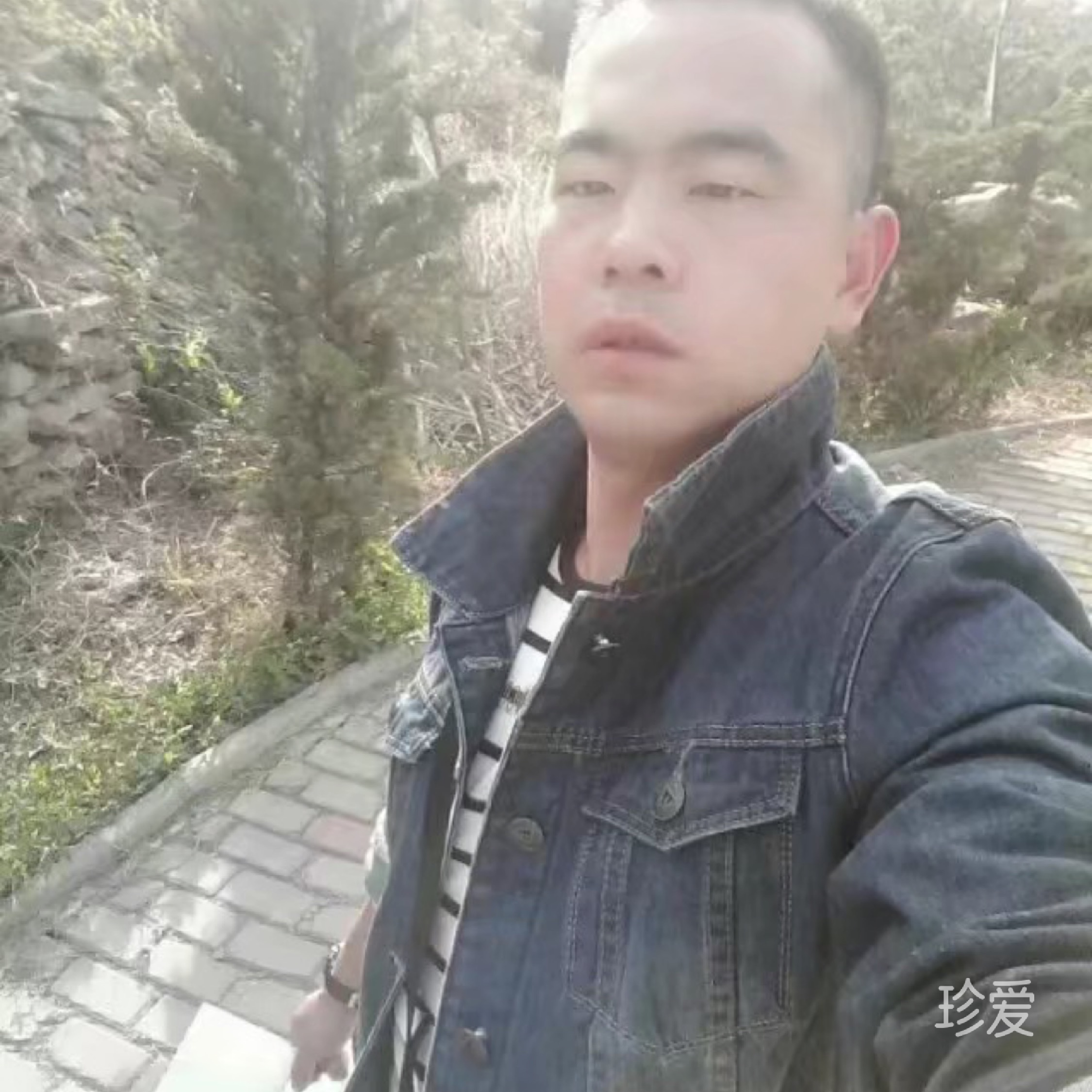 青春無(wú)悔118