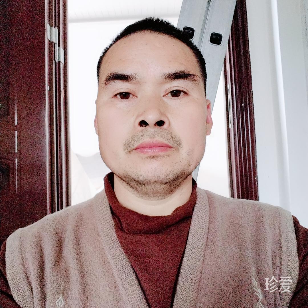才高八斗