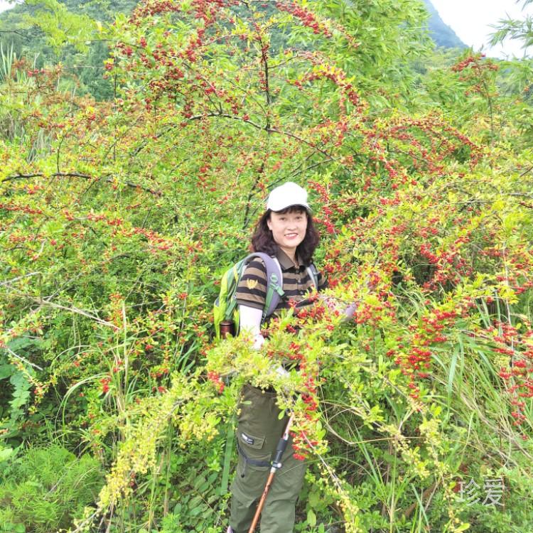 夜色有點(diǎn)甜