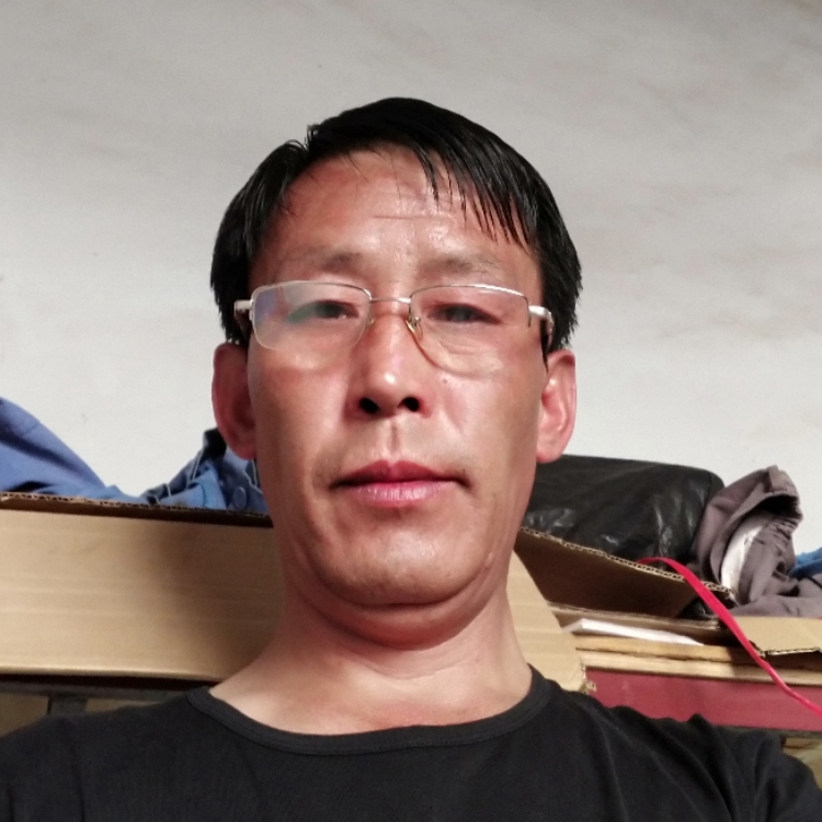 快樂(lè)小豬豬