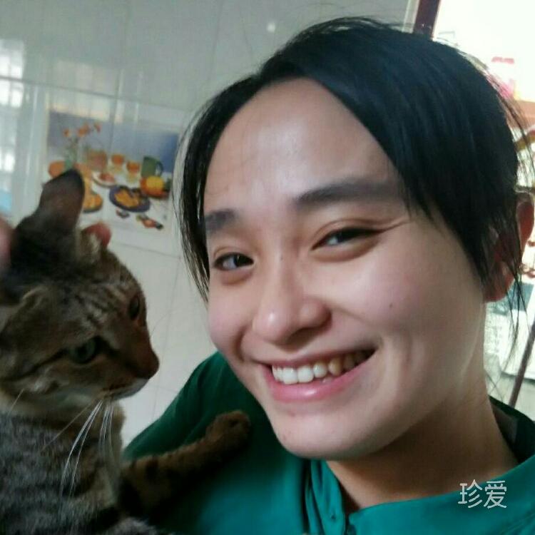 希望豬年緣分到