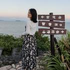 夏季的風(fēng)