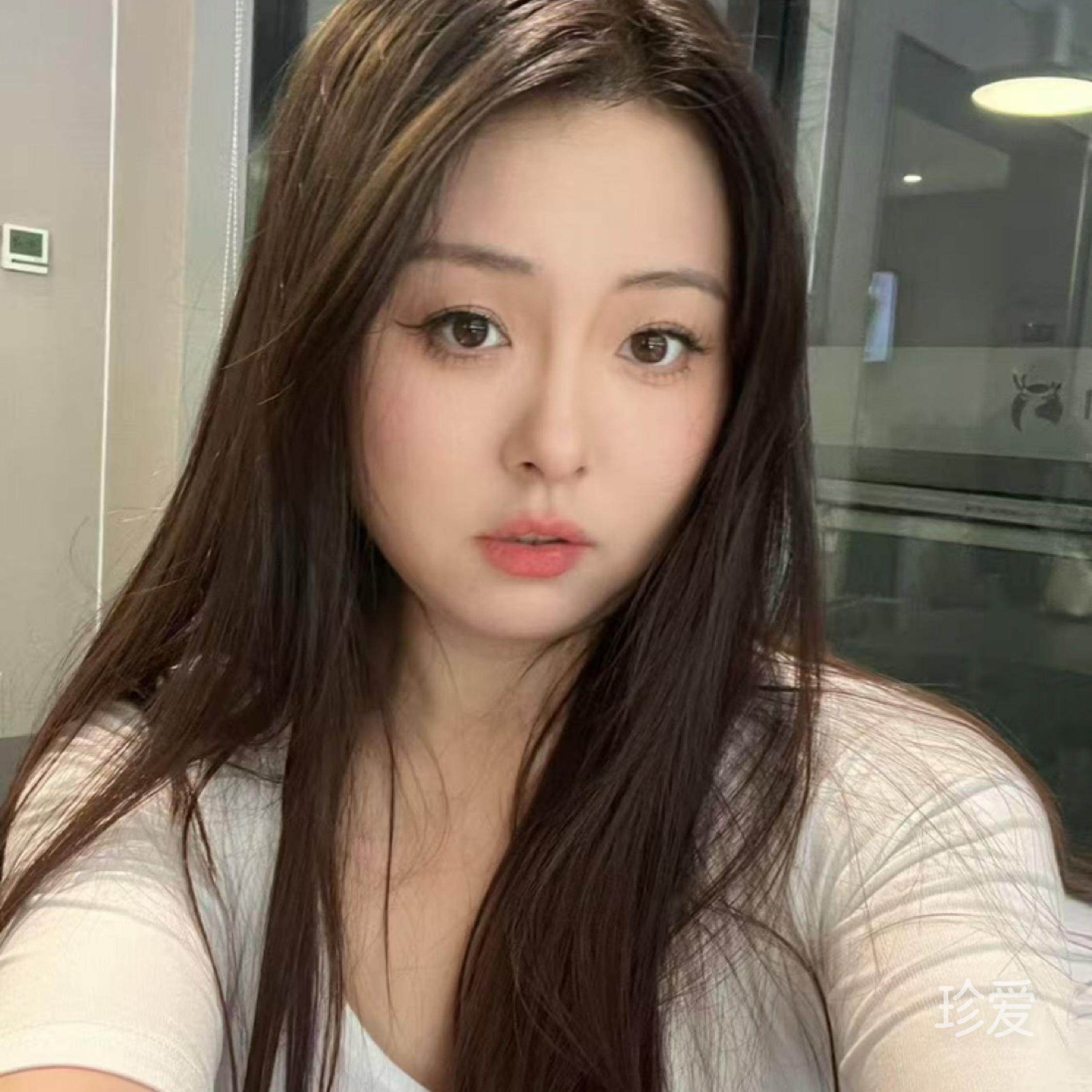 最爱周杰伦