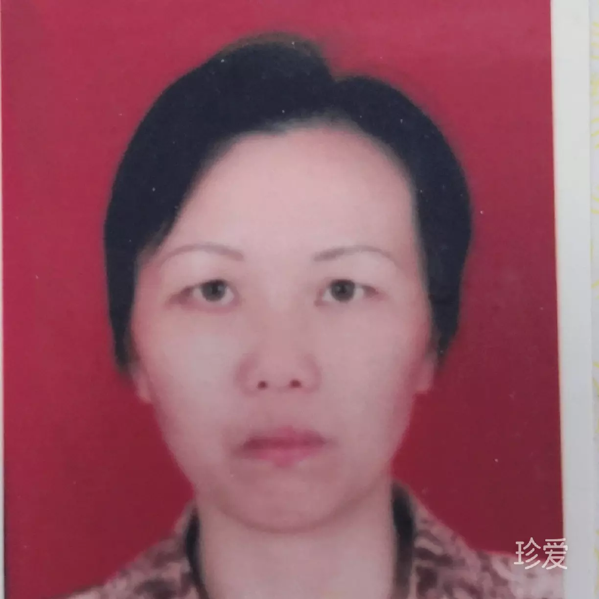格桑花