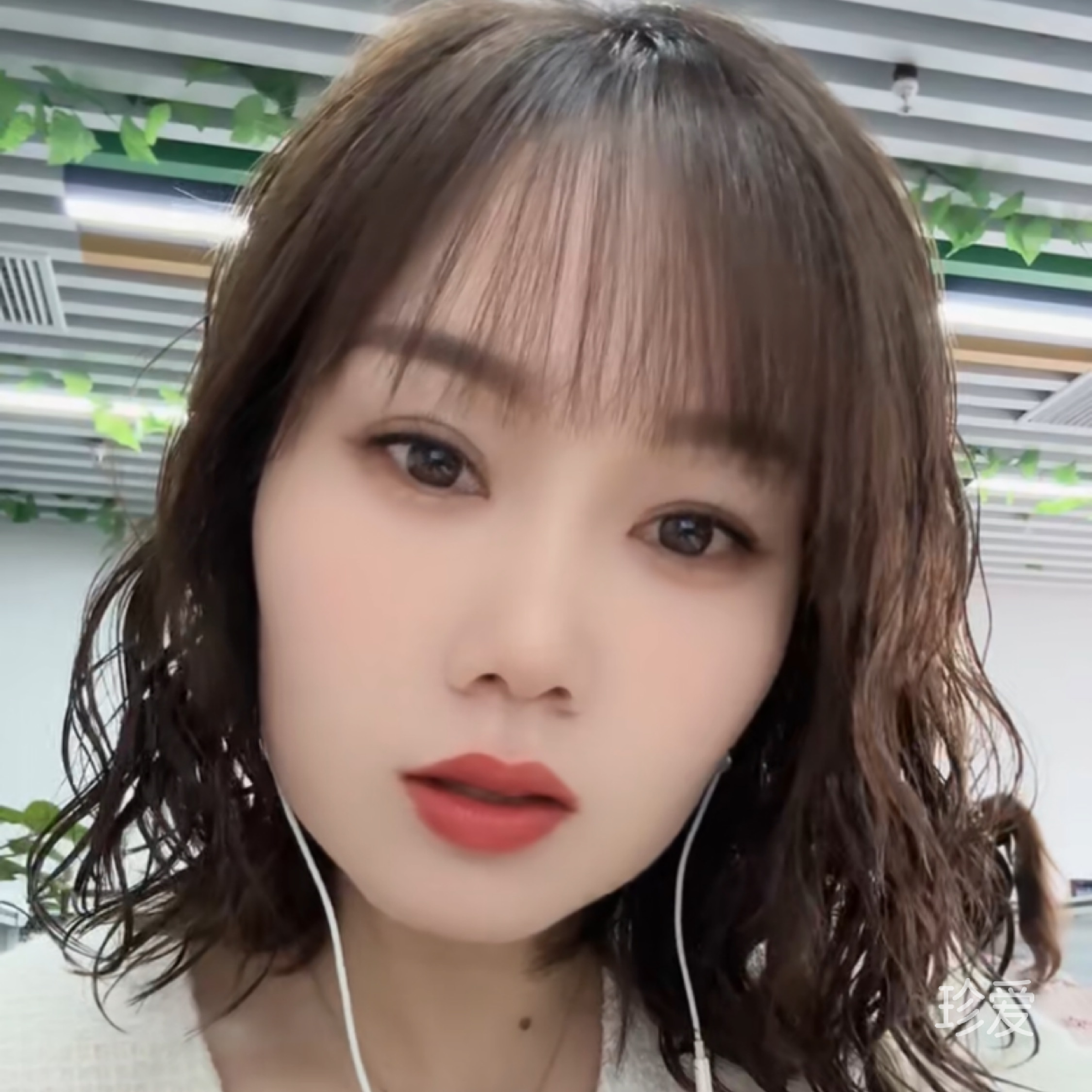 猫吉小姐