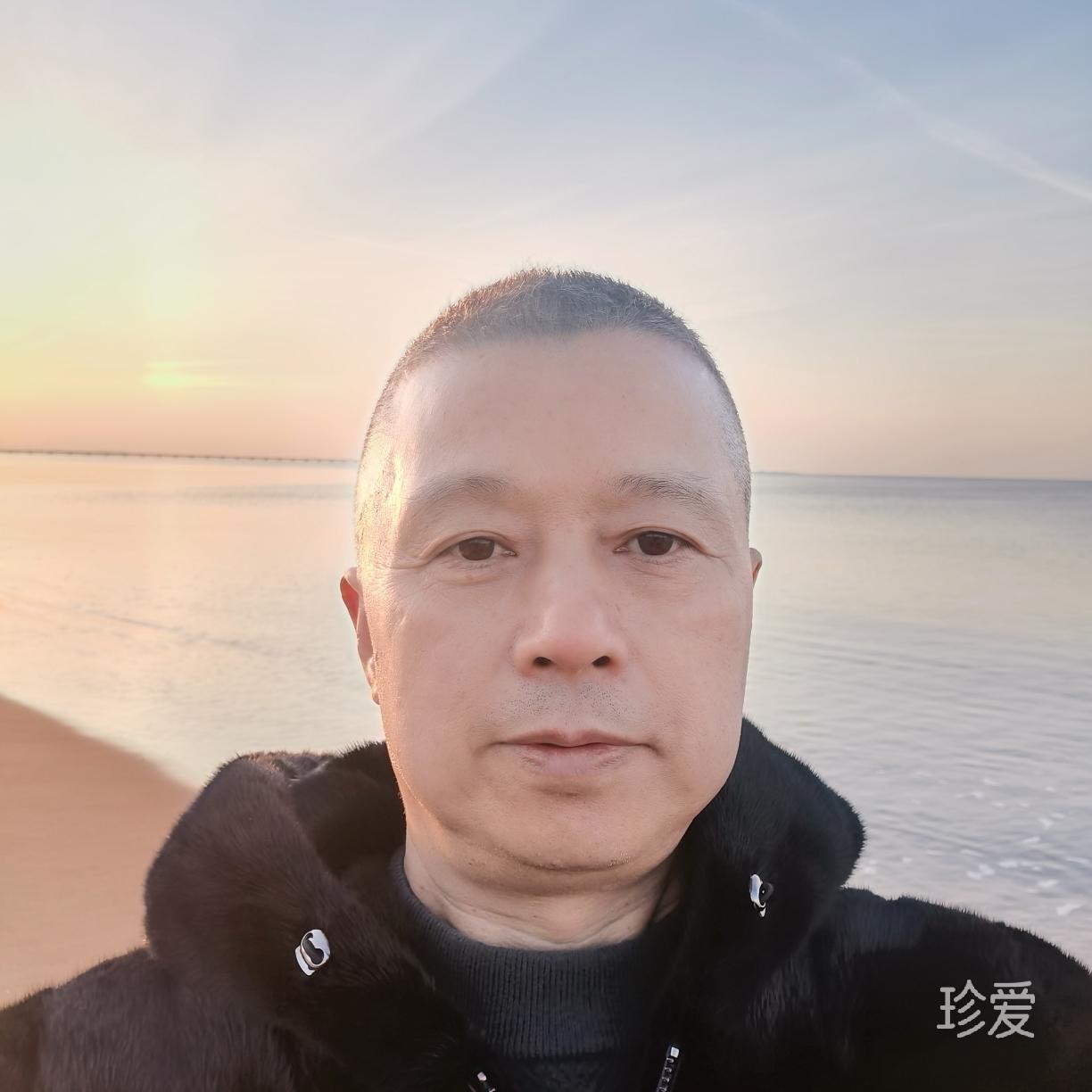 穿過樹叢的陽光