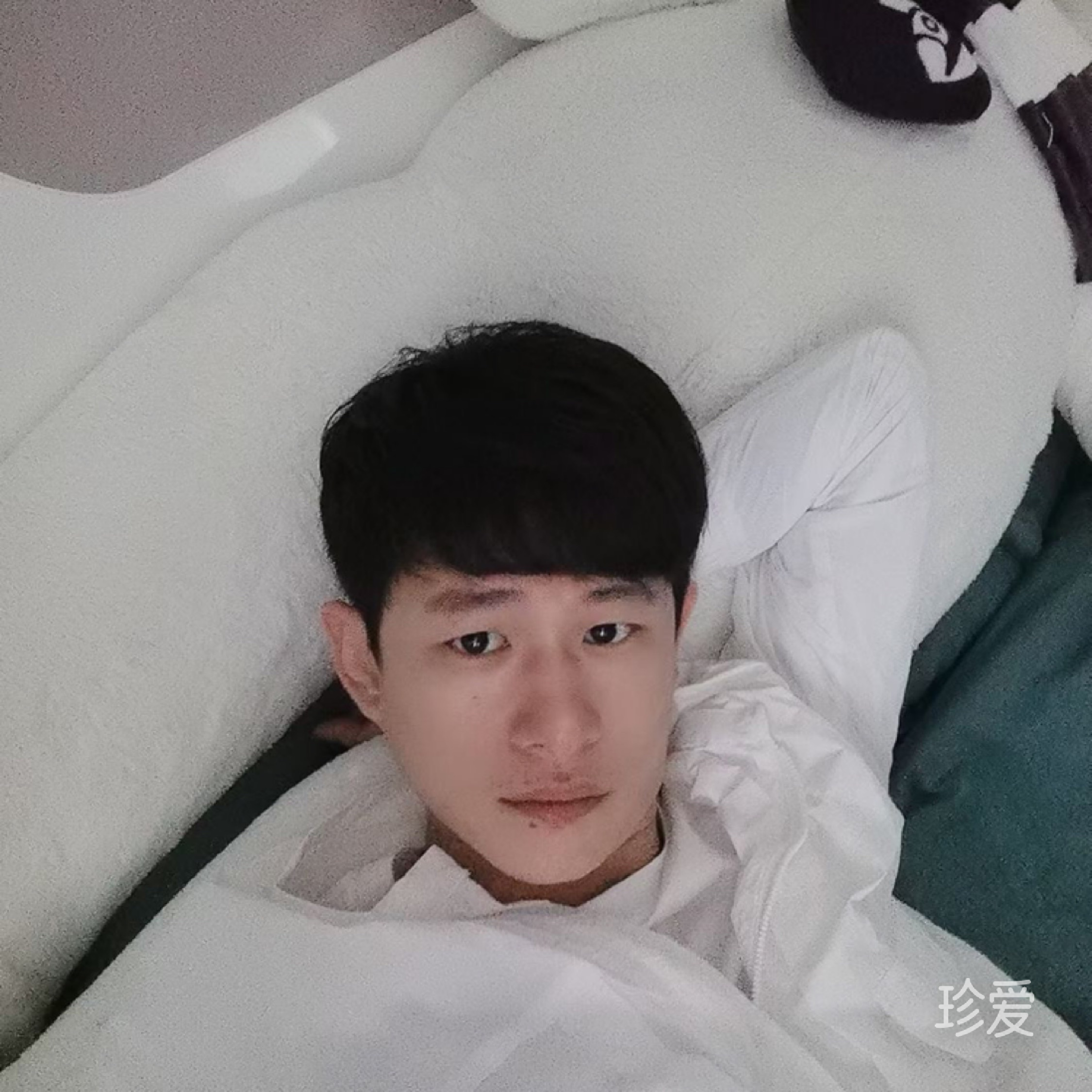 懷念青春