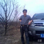 橄欖樹