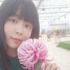 一抹胭脂紅
