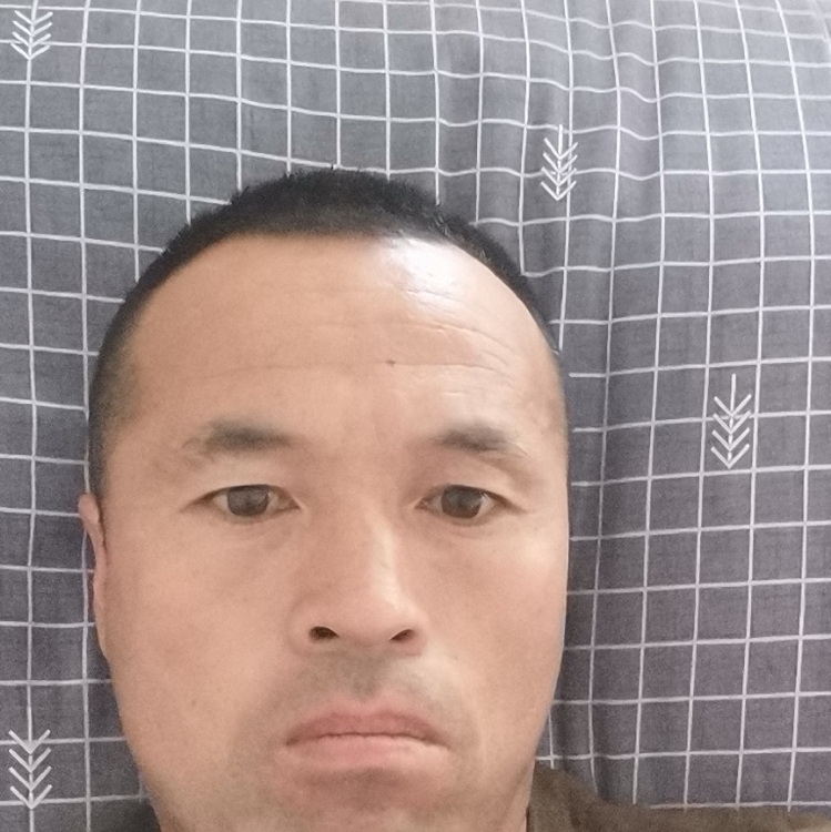 故鄉(xiāng)塵埃